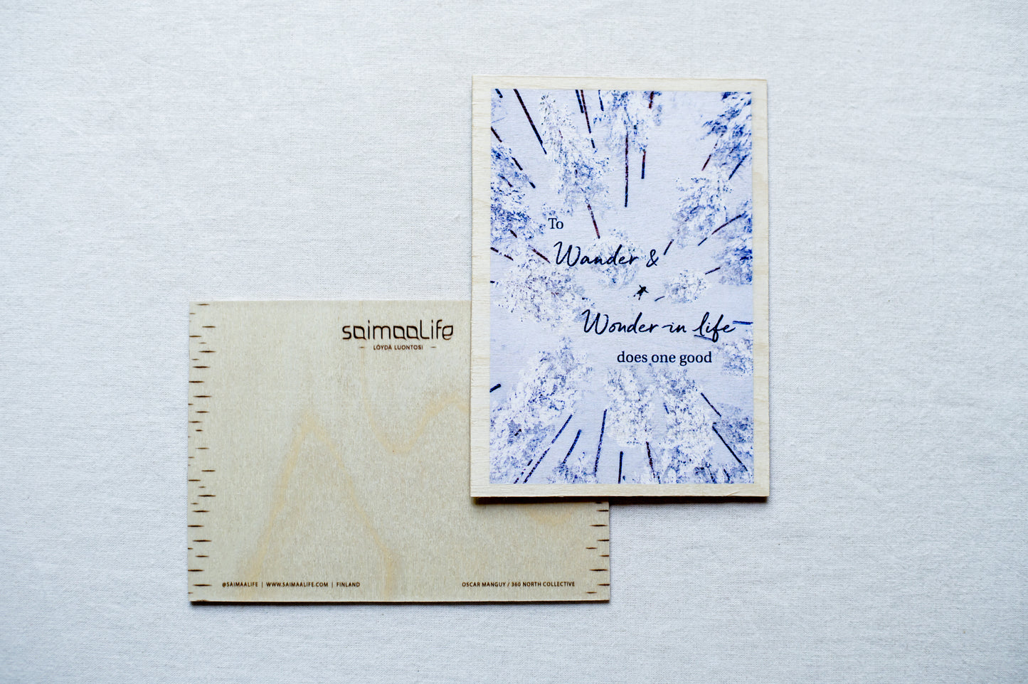 木のアート作品 "To wander and wonder in life does one good"