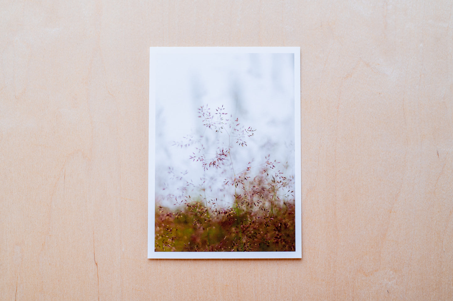 自然写真プリント「夏の干し草」