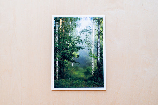 Nature photo print "Forest"